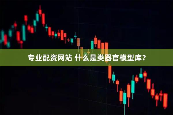 专业配资网站 什么是类器官模型库？