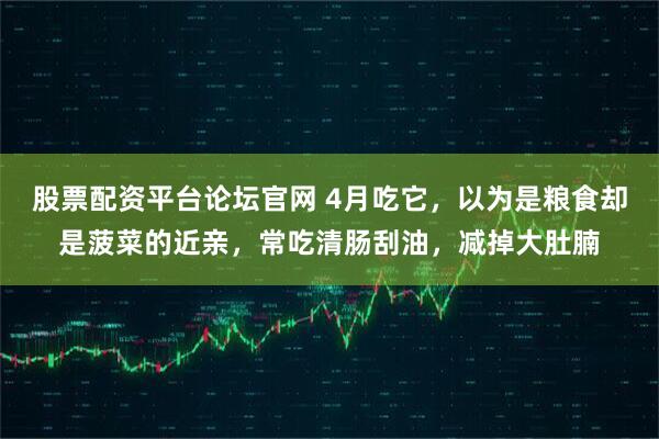 股票配资平台论坛官网 4月吃它，以为是粮食却是菠菜的近亲，常吃清肠刮油，减掉大肚腩