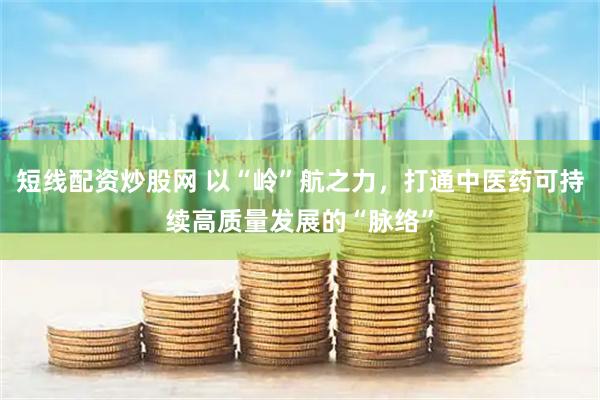 短线配资炒股网 以“岭”航之力，打通中医药可持续高质量发展的“脉络”